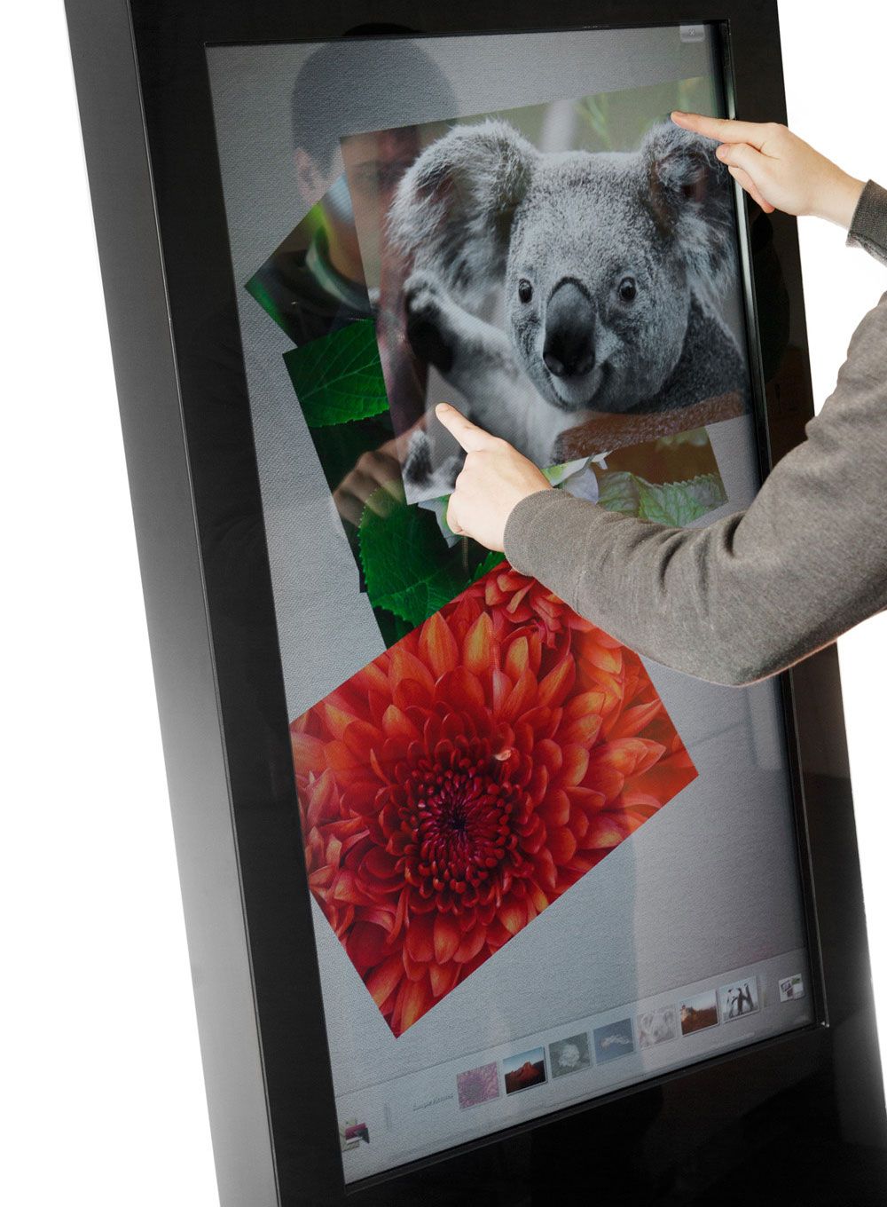 50" Freestanding PCAP Touch Screen Poster - Digital Poster