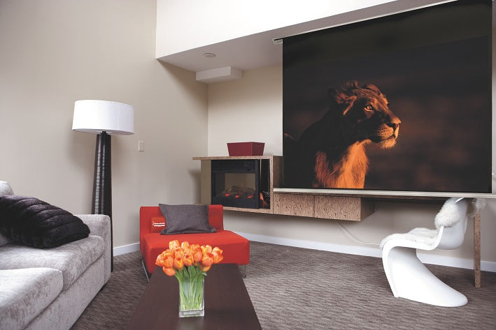 Euroscreen Sesame Electric Recessed Projection Screen